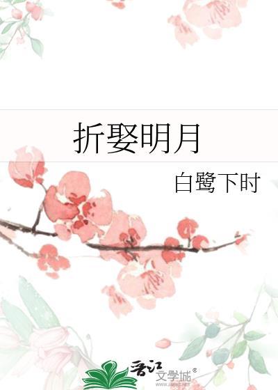 无颜之月讲的什么