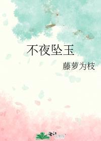 不夜坠玉免费阅读