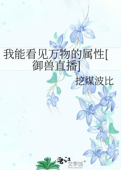 我能看见万物概率