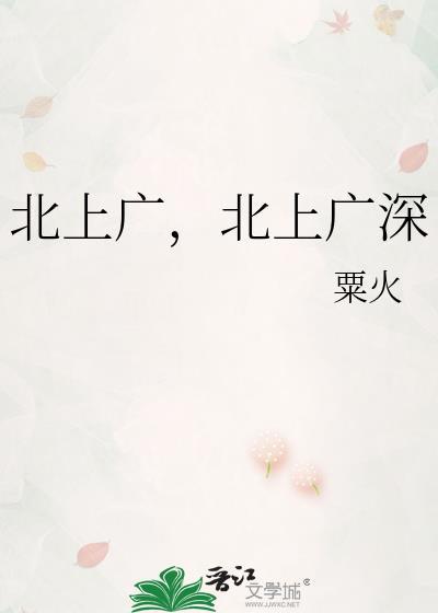 北上广深啥子意思