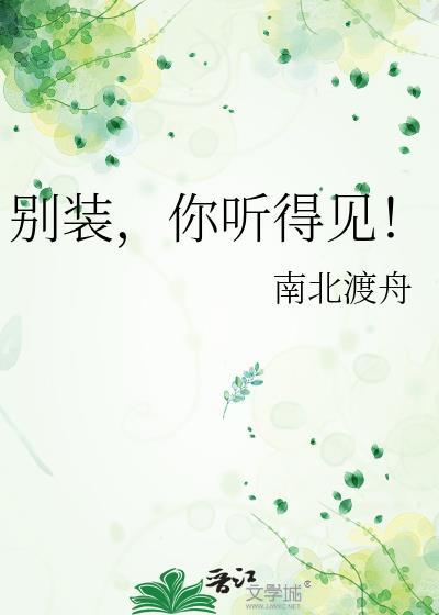 别装了 歌曲