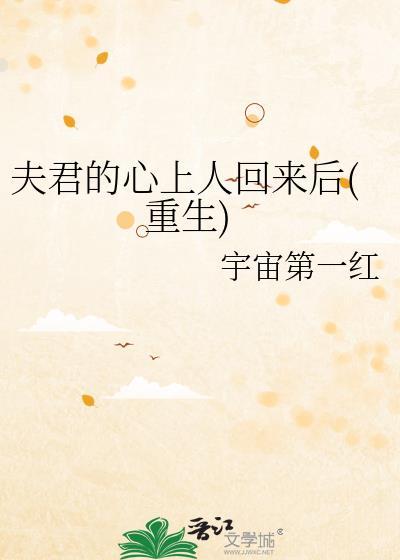 夫君的心上人回来后(重生)简介