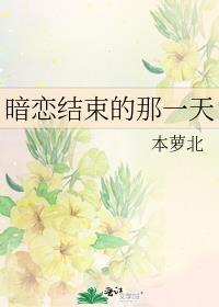 暗恋结束