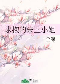 朱三小姐txt结局