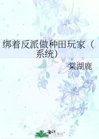 绑着反派做种田玩家(系统)棠湖鹿