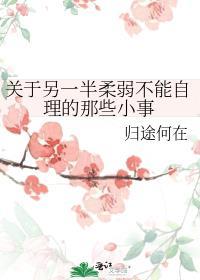 关于另一半柔弱不能自理的那些小事小林泉