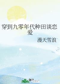 穿到九零年代种田谈恋爱讲的什么