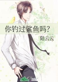 钓鱼鲨鱼视频