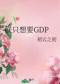 朕只想要GDP完整版未删减