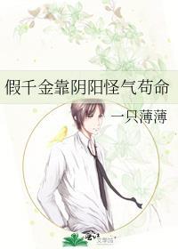 律师爱情