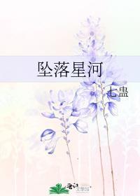 坠落星河的鲸歌词