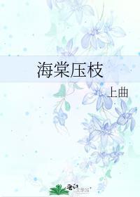 海棠压枝低莲卿讲的什么