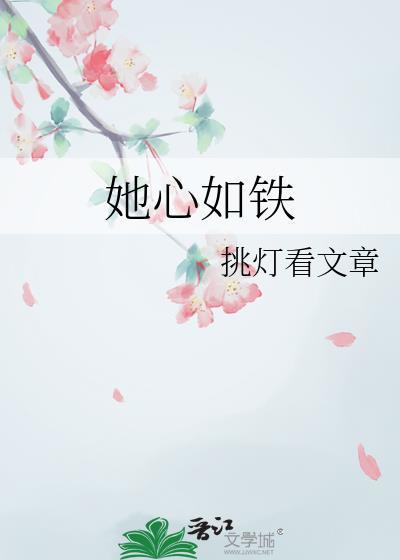 电视剧心如铁内容介绍