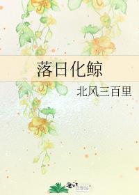 落日化鲸讲的什么