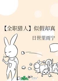 全职猎人真假迪哥
