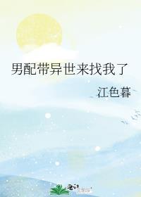 带着男配改嫁了