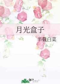月光盒子txt百度资源