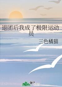 退网后成为极限运动选手txt百度