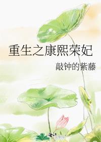 重生之康熙荣妃百度