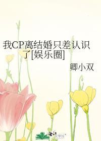 我cp离结婚只差认识了娱乐圈笔趣阁