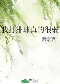 我打排球真的很弱TXT资源