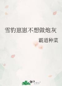 雪豹崽崽图片