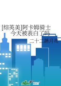阿卡姆骑士语录