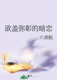 欲盖弥彰cp