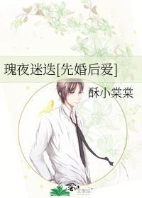 夜玫瑰免费阅读po