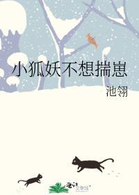 小狐妖不想揣崽晋江