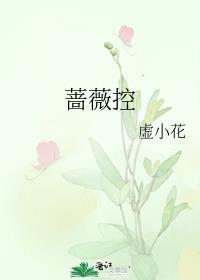 蔷薇控股股份有限公司