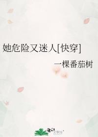 裙钗之下结局