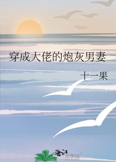 穿成大佬的炮灰联姻小男妻番外