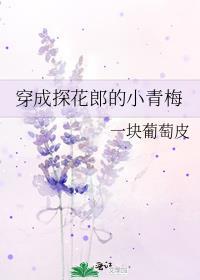 穿越古代探花郎的