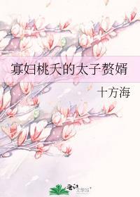 寡妇桃夭的太子赘婿番外