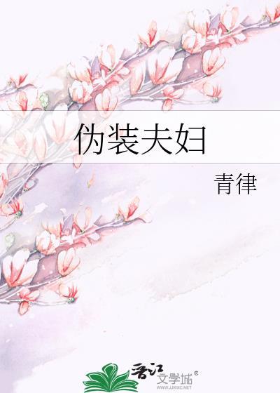 伪装夫妇什么时候播