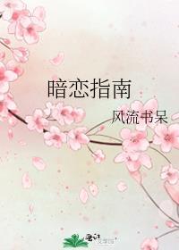 暗恋指南番外
