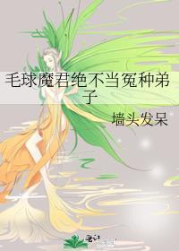 毛球momo