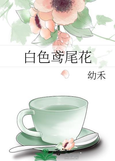 白色鸢尾花象征什么意思