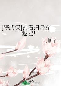 综武侠骑着扫帚穿越啦TXT