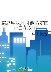 霸总的小白免费阅读全文最新章节