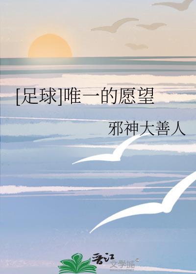 足球唯一的愿望百度