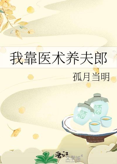 穿越靠医术养夫郎