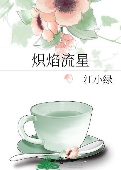 炽焰流星txt笔趣阁在线阅读