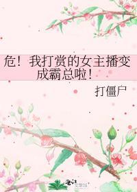 我打赏的主播是哥哥 全文