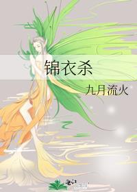 锦衣杀电视剧全集免费观看