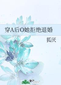 穿A后O她拒绝退婚晋江