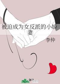 被迫成为反派赘婿第三季17集