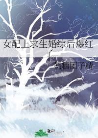 女配求生视频