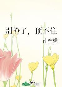 别撩了顶不住免费全文阅读